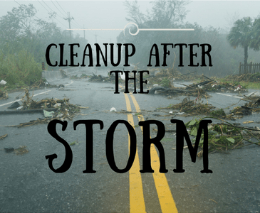 Cleanup Storm